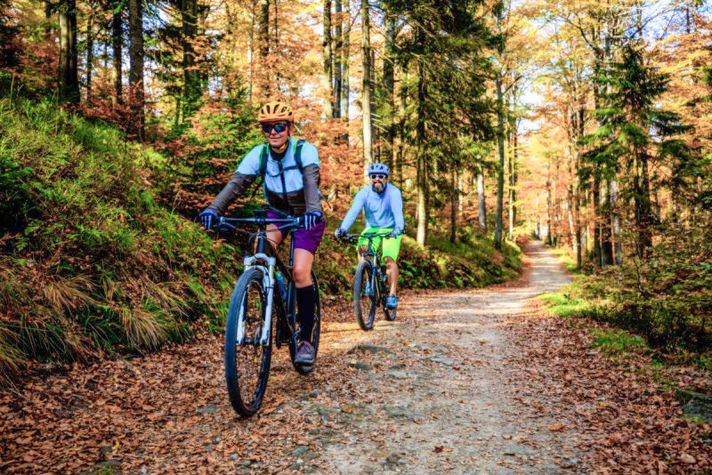 Zwei Mountainbiker fahren auf einem Waldweg